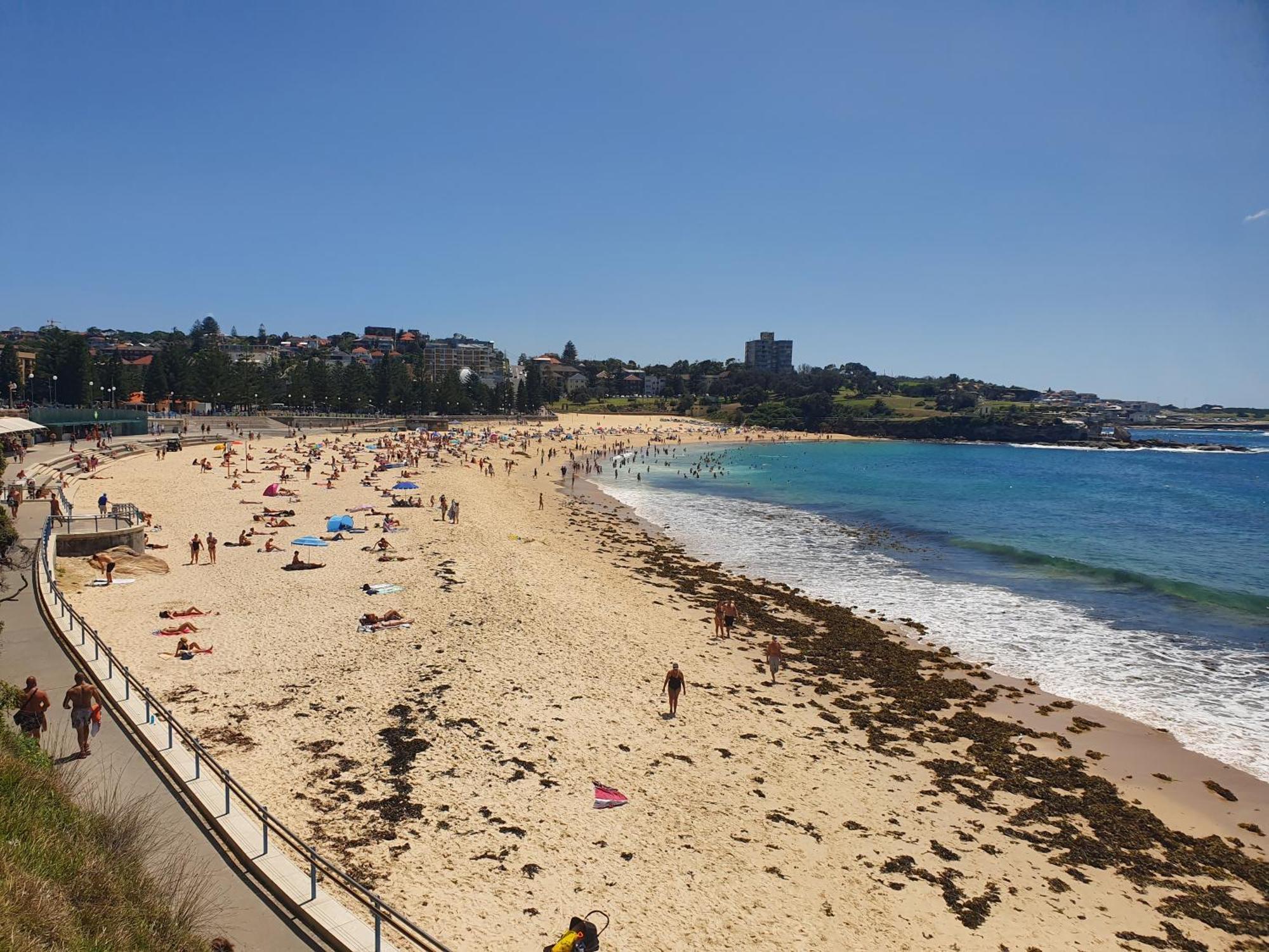 Podbed Coogee Beachside Sydney Exterior foto